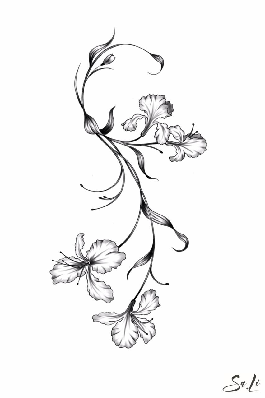 Custom line drawing for tattoo development